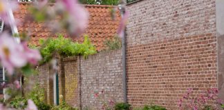 Foto weekoverzicht Judith #546 mooi straatje in veere