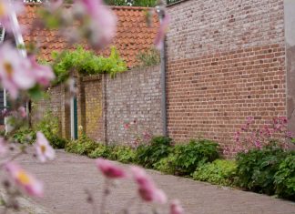 Foto weekoverzicht Judith #546 mooi straatje in veere