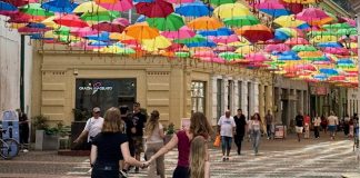 Foto weekoverzicht Judith #549 paraplus timisoara