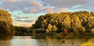 Foto weekoverzicht Judith #554 wilhelminapark mooi