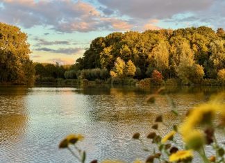 Foto weekoverzicht Judith #554 wilhelminapark mooi