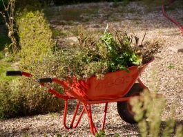 Foto weekoverzicht Judith #557 rode kruiwagen met bloemen