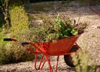 Foto weekoverzicht Judith #557 rode kruiwagen met bloemen