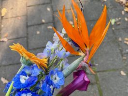 Foto weekoverzicht Judith #559 bloemen