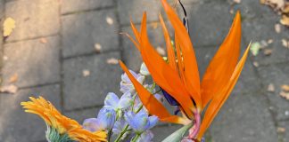 Foto weekoverzicht Judith #559 bloemen