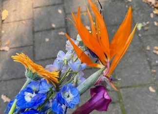 Foto weekoverzicht Judith #559 bloemen