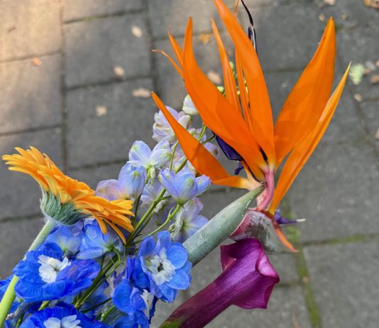 Foto weekoverzicht Judith #559 bloemen