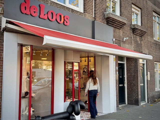 deloossmalleschoenen