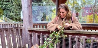 Schmiding Zoo in Bad Schallerbach met kinderen: dierentuin vol avontuur Giraffen voeren in de Schmiding Zoo in Bad Schallerbach Opper-Oostenrijk