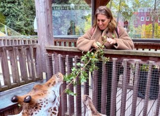 Schmiding Zoo in Bad Schallerbach met kinderen: dierentuin vol avontuur Giraffen voeren in de Schmiding Zoo in Bad Schallerbach Opper-Oostenrijk