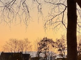 Foto weekoverzicht Judith #565 ochtendzon