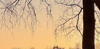 Foto weekoverzicht Judith #565 ochtendzon