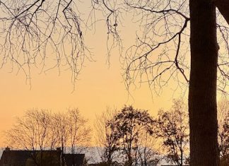 Foto weekoverzicht Judith #565 ochtendzon