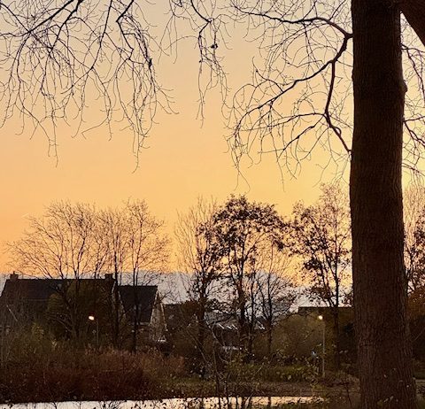 Foto weekoverzicht Judith #565 ochtendzon